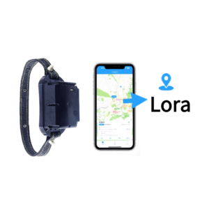 lora cattle and sheep livestock GPS